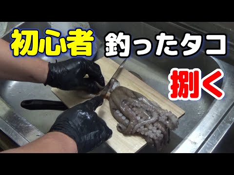 自分で釣ったタコを捌く！料理初心者の中年男子