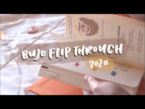 2020 Bullet Journal Flip Through