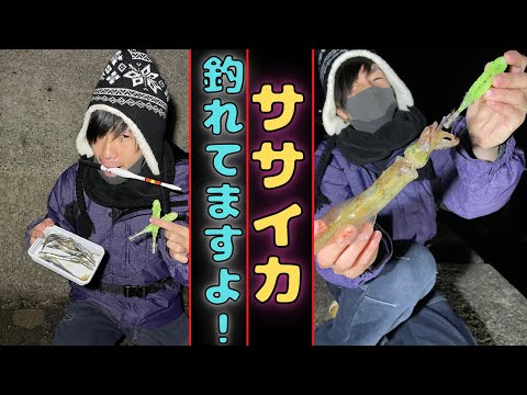 ２カ月ぶりの釣り！！狙うは何にしてもおいしいイカ！！