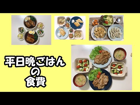 【二人分の平日晩ごはん食材や材料費＃1】夕食紹介や食費などの説明です