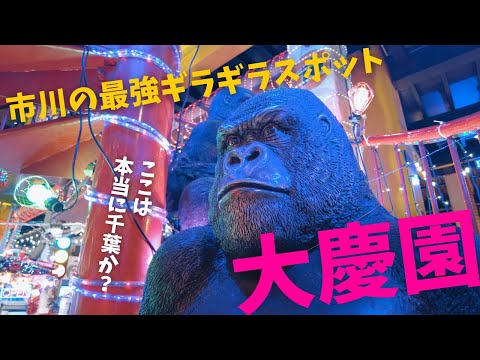 【映えスポット】千葉で最強のギラギラ遊園地『大慶園』