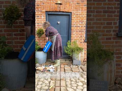 Five minute gardening every day.  Today my dolly tubs underwent a little winter makeover #gardening