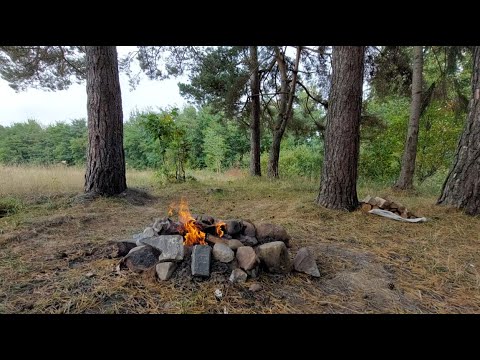 Bushcraft cooking. Nature. Отдых на природе.