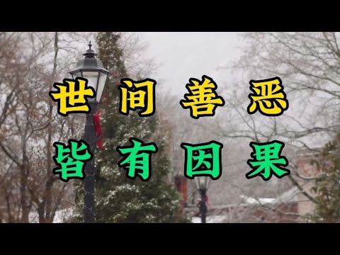 《基督山伯爵》世间善恶，皆有因果；人在做，天在看，谁也逃不掉