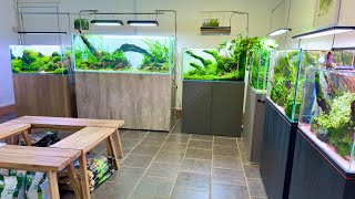 Aquascaping Showroom Tour, Updates and a New 150cm Aquascape!