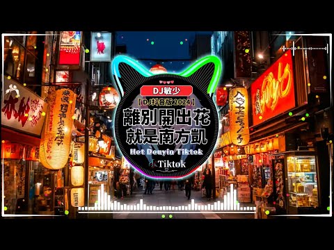 最佳 DJ 混音音乐 🎼 2024年最热门抖音混音音乐【2024年11月更新歌曲不會重複】抖音神曲2024「離別開出花 ♪ 親愛的不要哭 ♪ 寶貝在幹嘛 ♪ 聽悲傷的情歌」