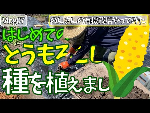 女ひとりで、有機栽培　はじめての種植え（直播）　とうもろこしの種を植えました Vlog07 菌ちゃん農法、貸農園でやってみた