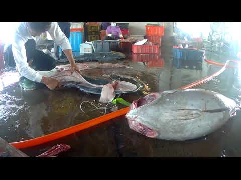 Taiwan Street Food - GIANT MAHI MAHI FISH Taiwan Seafood