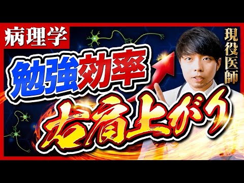 【病理学暗記しない勉強法】CBTでも役立つ！医学生道場流ワンランク上の勉強法【現役医師】