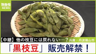 ビールによく合う！丹波篠山の『黒枝豆』販売解禁　おいしく食べるための"茹で方のコツ"も紹介　丹波たぶち農場【福島暢啓の潜入！今昔探偵】【現場から生中継】（2024年10月7日）