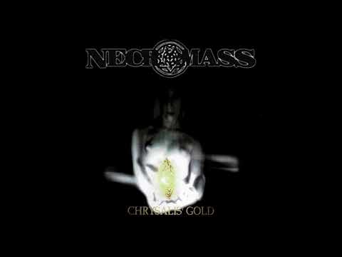 Necromass - Losers in the Sky... Dying