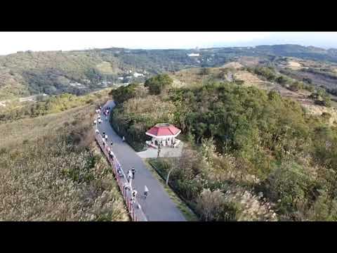 DjI Mavic Mini 秀山步道/盲草/茶園