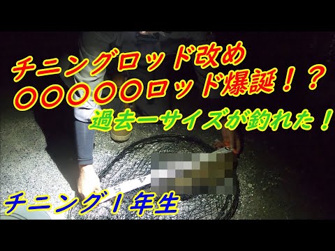 チニングロッド改め○○○〇〇ロッド爆誕！？過去一サイズが釣れた！チニング１年生　＃チニング