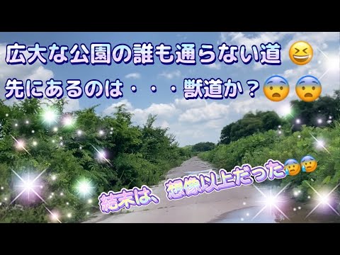 【何のためにある？】広大な公園にある誰も行かない道！　先に待っていたのは・・・想像以上のものだった😰😰