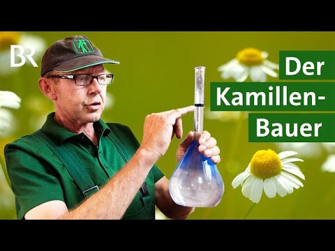 Landwirt erntet Kräuter für Pharmaindustrie: Kamille vom Acker | Heilkräuter | Unser Land | BR