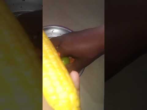 sweet masala corn #corn #shorts