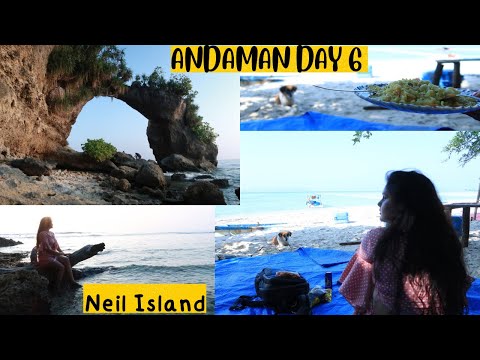 Day 6 | Neil Island | Andaman Trip | Neil is Beautiful