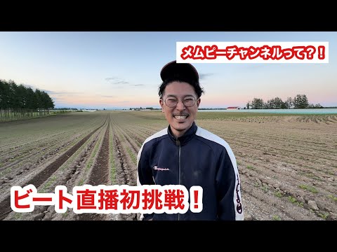 【ビート直播】調子はどう？！これからのメムピーチャンネルは？！