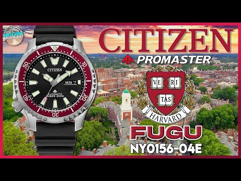 VE RI TAS! | Citizen Promaster Harvard FUGU 200m Automatic NY0156-04E Unbox & Review