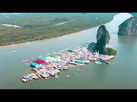 佛教音乐《花开见佛》心中种下一颗菩提，听心开花，花开见佛