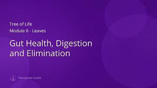 Introduction to Tree of Life Module 6 - Leaves: Gut Health, Digestion and Elimination