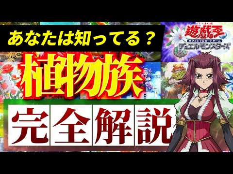 【必見！】種族別汎用カード解説 植物族編【遊戯王マスターデュエル-Yu-Gi-Oh!  Master Duel】