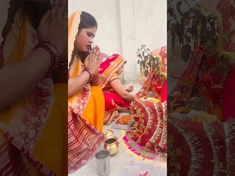 25 दिसंबर तुलसी पूजन दिवस🌿🚩| jai Maa Tulsi #tulsigeet | Maine Jise Chaha Wahi Mila Sajna #shorts