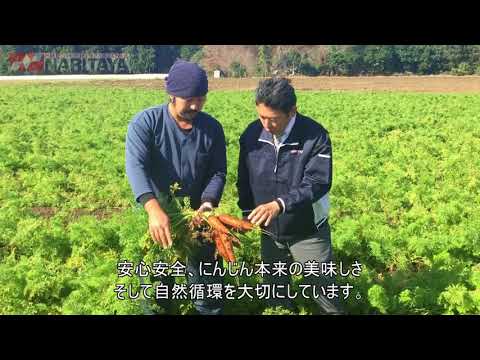 ナリタヤやさい 千葉県香取郡多古町・菅澤直秀嘉さんのにんじん