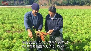 ナリタヤやさい 千葉県香取郡多古町・菅澤直秀嘉さんのにんじん