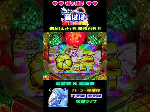 🌺ハイビスカス SPチャンス🌺✨金ハイビ保留連 ×2✨🌈スーパー海物語 IN 沖縄5 with アイマリン🌈【 パーラー華ぱぱ・海物語 博物館 】ショート動画 #shorts