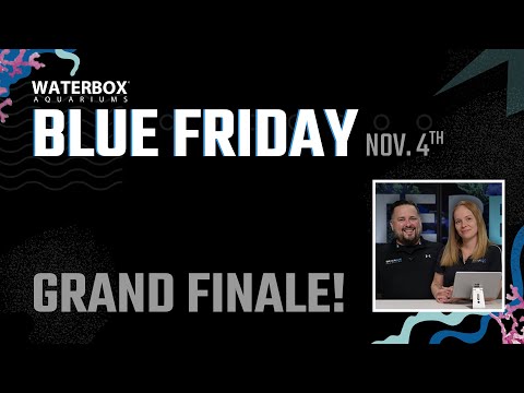 Blue Friday Finale | Announcing Grand Prize Winners + Final Toast!