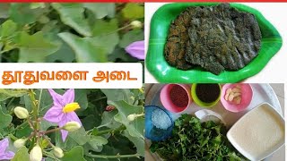 தூதுவளை அடை |Thoothuvalai Adai | தூதுவளையின் மருத்துவ பயன்கள் |தூதுவளை| cold remedy-Samayal in Tamil