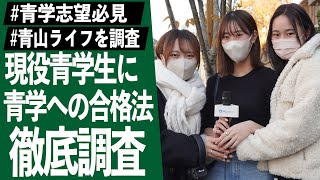 【青学志望必見】現役青学生に青山ライフ、合格した勉強法を聞いてみた