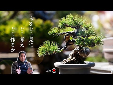 Beginners? Learn how to identify materials, plan, and make them. [Bonsai Q]