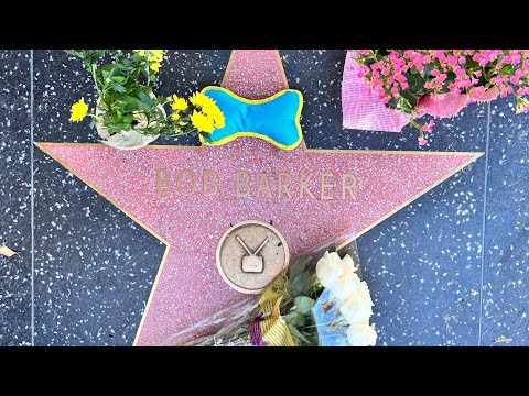 RIP Bob Barker - Hollywood Blvd - Price is Right