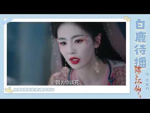 Bai Lu compilation 白鹿视频片段合集 11-02-2024 #bailu #白鹿