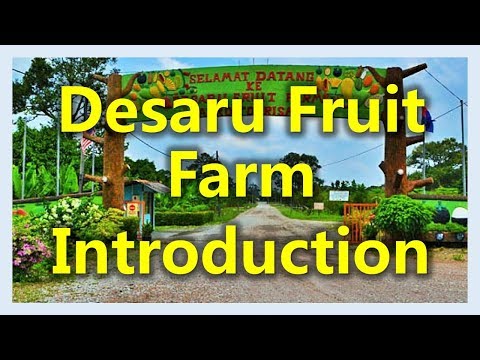 Desaru Fruit Farm Introduction (www.sg2jb.com)