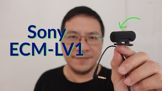 Sony ECM-LV1 and Built-in Sony ZV-1 microphones - Test