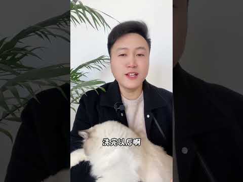 假如猫咪一生，只能说三句话 养猫经验分享 科学养宠攻略 宠物滴耳液 新手养猫 养猫知识