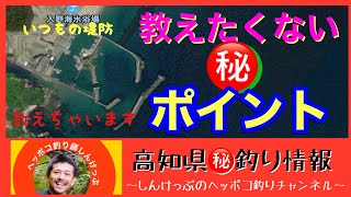 【高知県㊙️釣り情報】いつもの堤防〜教えたくない㊙️ポイントその１〜