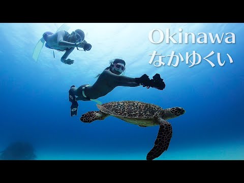 Snorkeling at Dive Site Nakayukui | Okinawa Freediving | シュノーケリング＠沖縄本島ナカユクイ