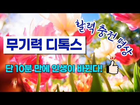 무기력 OUT! 활력 UP! ⚡ 10분 만에 변화를 경험하다 | 무기력증 극복 | 활력충전 | 만월도전TV