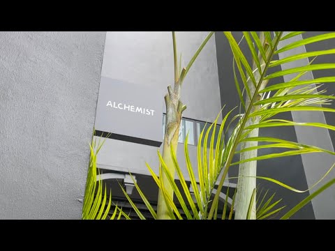 新加坡美食｜高質感又平價的咖啡廳 Alchemist The Mill Singapore cafe，跟著幼教老師一起吃喝玩樂！#在新加坡的台灣人