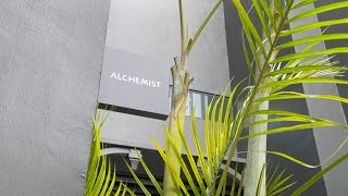 新加坡美食｜高質感又平價的咖啡廳 Alchemist The Mill Singapore cafe，跟著幼教老師一起吃喝玩樂！#在新加坡的台灣人