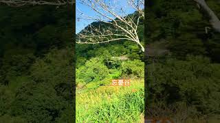 太麻里金針山《忘憂谷》#台東旅遊#太麻里景點#太麻里金針山#忘憂谷