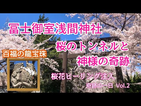 冨士御室浅間神社〜桜のトンネルと神様の奇跡〜桜花ヒーリング注入