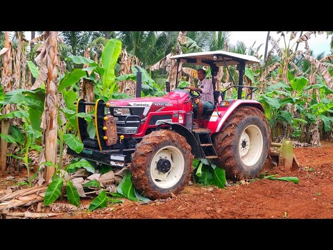 Mahindra Novo 755 Di CRDI 75 HP 4wd tractor | Banana mulching | PTO power and mileage