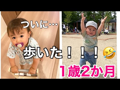 【１歳２か月】歩く気配のなかった赤ちゃんが突然自主練習を始め歩けるようになるまで【次男】