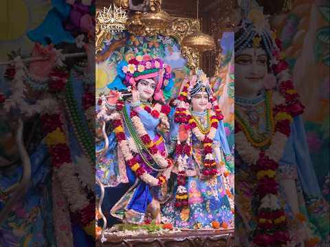 Today Darshan of Sri Radha Govind ji🙏🙏💐20th Dec 2024✅Hare Krishna🙏...#iskcon #iskconkolkata #darshan