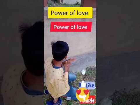 power of love #poweroflove #ytshorts #shortvideo #shortsfeed